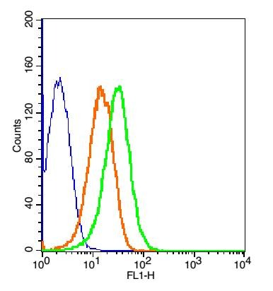 Anti-CTLA4 Polyclonal Antibody