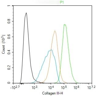 Anti-Collagen III/COL3A1 Polyclonal Antibody 2