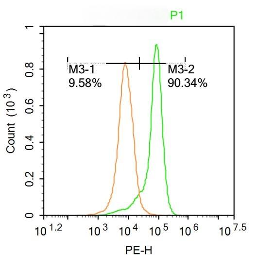 Anti-GRO beta/CXCL2 Polyclonal Antibody
