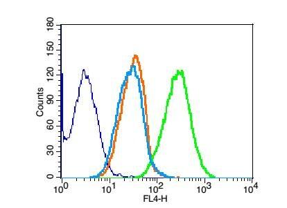 Anti-GRIA2 Polyclonal Antibody