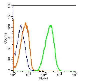 Anti-GRIA2 Polyclonal Antibody
