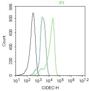 Anti-CIDEC Polyclonal Antibody