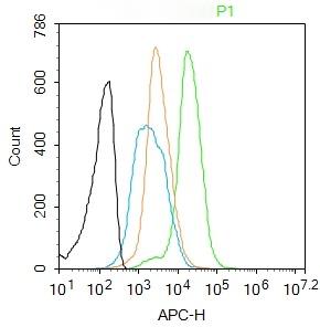 Anti-CIDEC Polyclonal Antibody