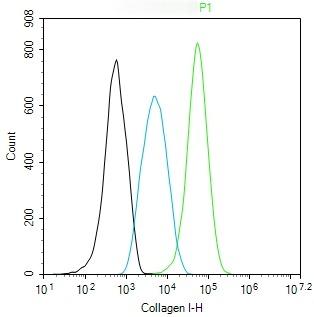 Anti-Collagen I/COL1A1 Polyclonal Antibody 2