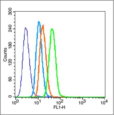 Anti-HIF-1 alpha Polyclonal Antibody 2