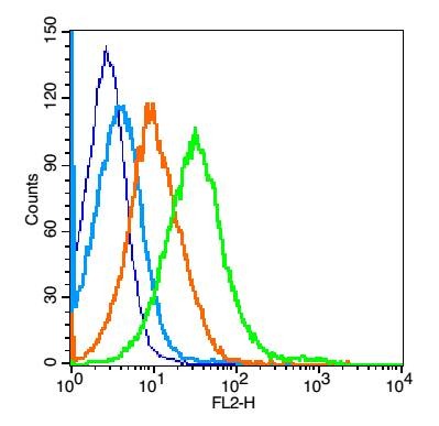 Histone H3 Nuclear Loading Control Polyclonal Antibody