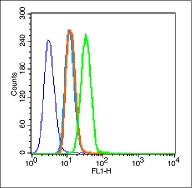Anti-HIF-1 alpha Polyclonal Antibody 3