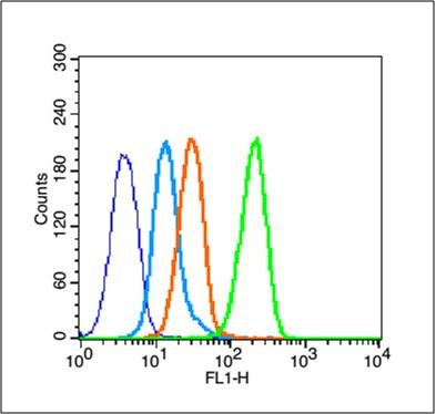 Anti-HMGB1 Polyclonal Antibody 2