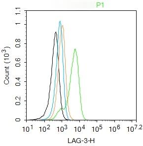 Anti-LAG3 Polyclonal Antibody