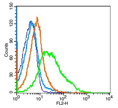 Anti-L-selectin Polyclonal Antibody