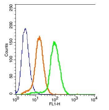 Anti-MC1R Polyclonal Antibody