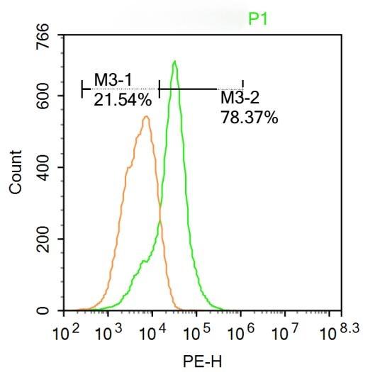 Anti-LTF/Lactoferrin Polyclonal Antibody