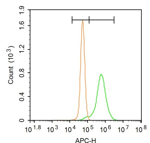 Anti-LDLR Polyclonal Antibody