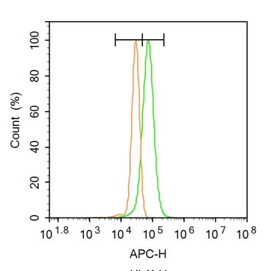Anti-MAP3K14 Polyclonal Antibody