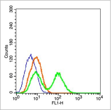 Anti-LGR-5 Polyclonal Antibody 3