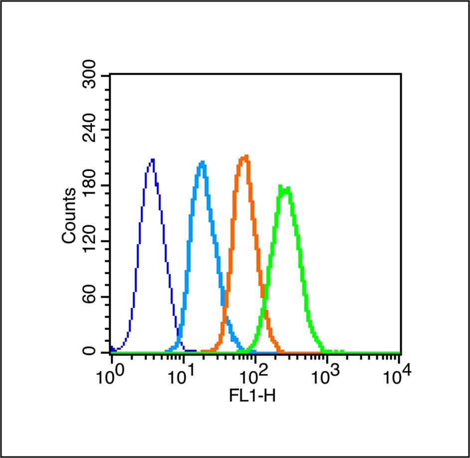 Anti-Leptin Receptor Polyclonal Antibody
