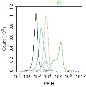 Anti-GPX1 Polyclonal Antibody