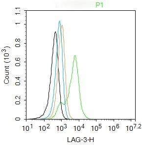 Anti-LAG3 Polyclonal Antibody