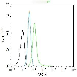 Anti-ox-LDL Polyclonal Antibody
