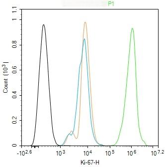 Anti-MKI67 Antibody (3H14)