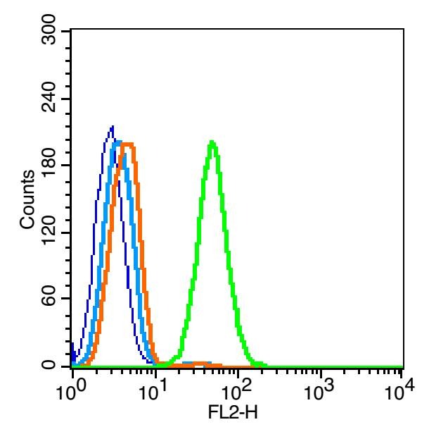 Anti-Lipoprotein lipase Polyclonal Antibody