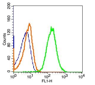 Anti-LY6A Polyclonal Antibody