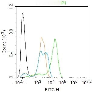 Anti-LTF/Lactoferrin Polyclonal Antibody