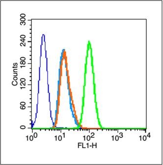 Anti-PDGF-AA Polyclonal Antibody