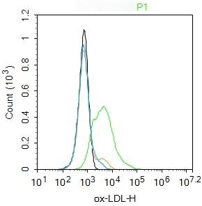 Anti-ox-LDL Polyclonal Antibody