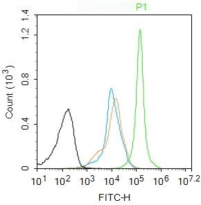 Anti-Phospho-ASK1 (Thr845) Polyclonal Antibody