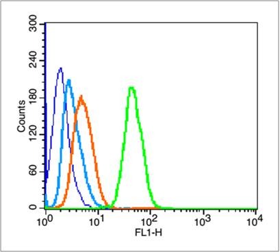 Anti-LGR-5 Polyclonal Antibody