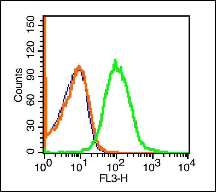 Anti-PD-1 Polyclonal Antibody