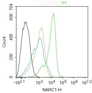 Anti-PCSK9 Polyclonal Antibody