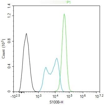 Anti-S100B Antibody (2F740)