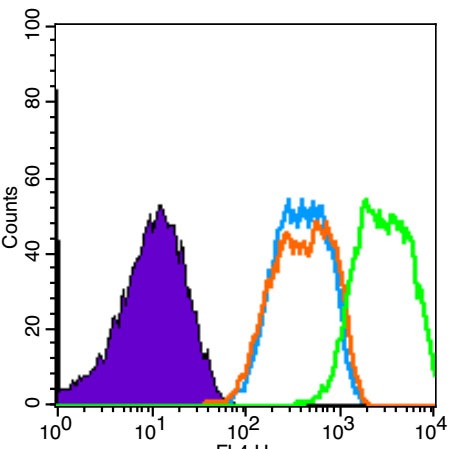 verifiedActivity