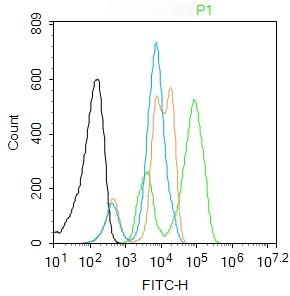 Anti-Phospho-H2AFX (Ser139) Polyclonal Antibody