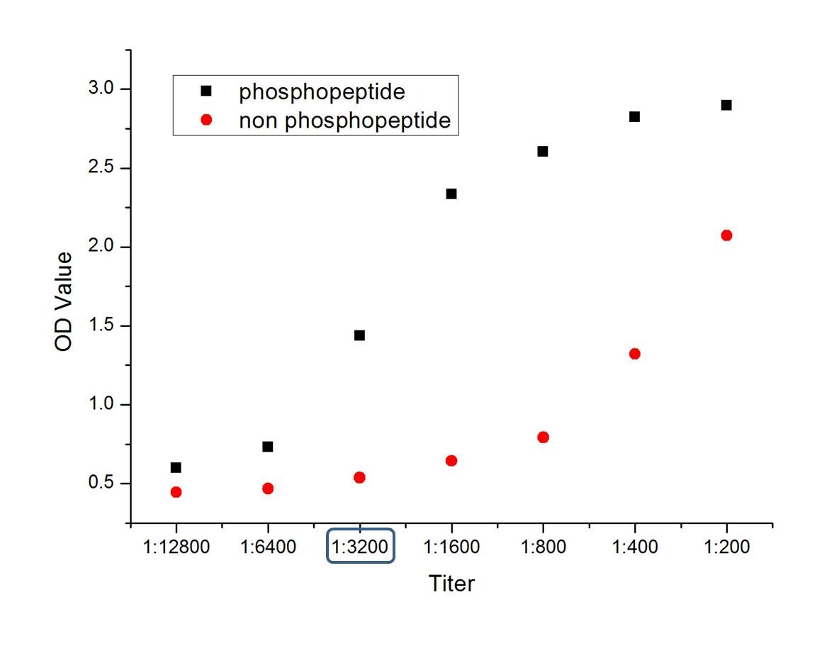 Anti-Phospho-HMGCR (Ser872) Polyclonal Antibody