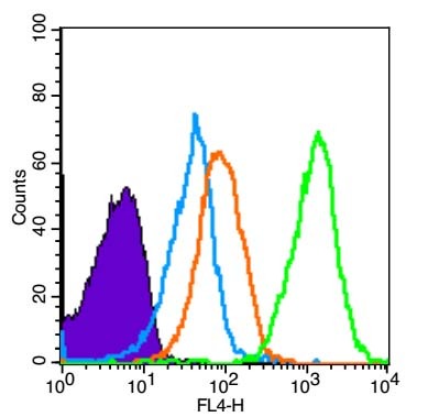 Anti-Phospho-AMPK alpha 1 (Thr183) Polyclonal Antibody