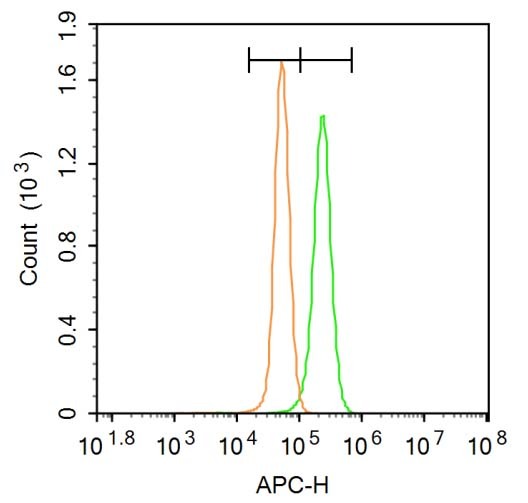 Anti-Phospho-HMGCR (Ser872) Polyclonal Antibody
