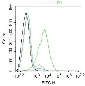 Anti-ROS1 Polyclonal Antibody