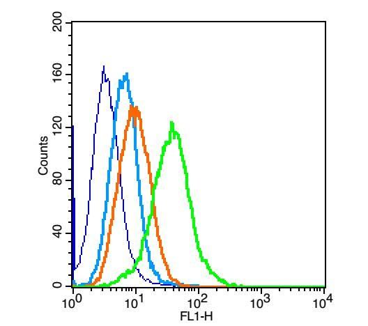 Anti-PIK3R1 Polyclonal Antibody