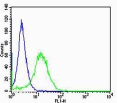 Anti-RAGE Polyclonal Antibody