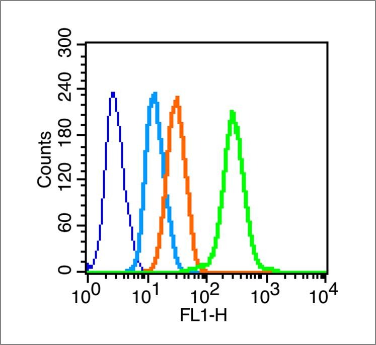 Anti-PDGF-BB Polyclonal Antibody
