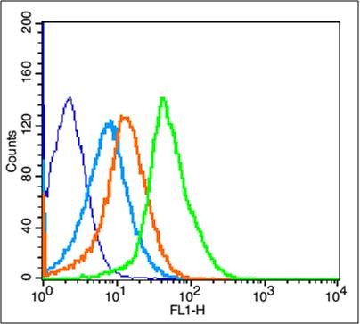 Anti-PDGFRA Polyclonal Antibody
