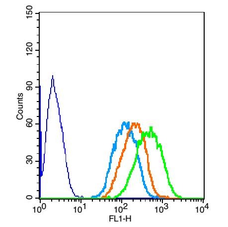 Anti-PARK7/DJ-1 Polyclonal Antibody