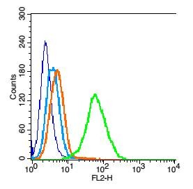 Anti-PARK7/DJ-1 Polyclonal Antibody