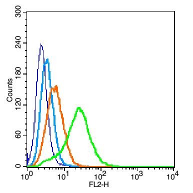 Anti-PAFR/PAF Receptor Polyclonal Antibody