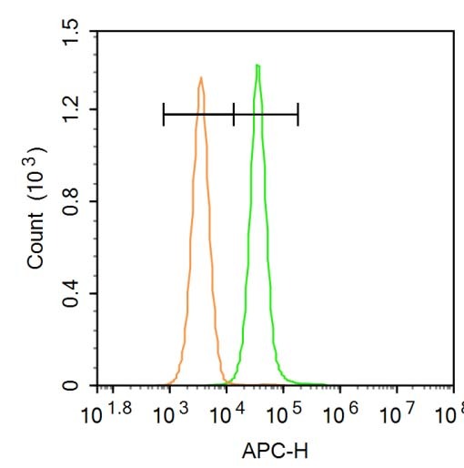 Anti-PNPLA2 Polyclonal Antibody