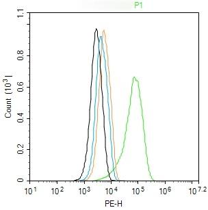 Anti-Prothrombin Polyclonal Antibody