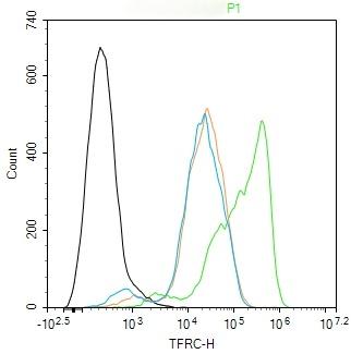 Anti-Transferrin Receptor/TFRC Antibody (4F227)